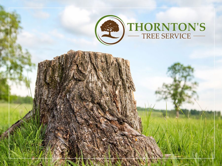 Thornton’s Tree Service