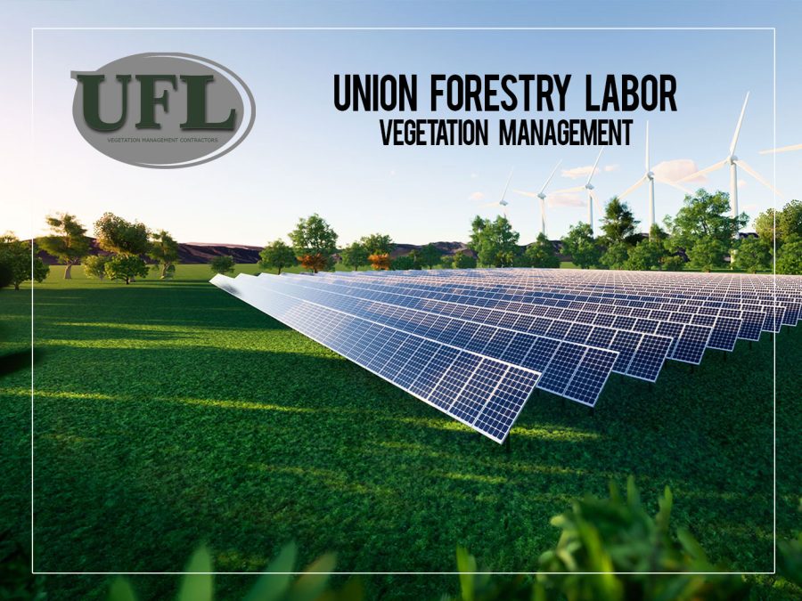 Union Forestry Labor