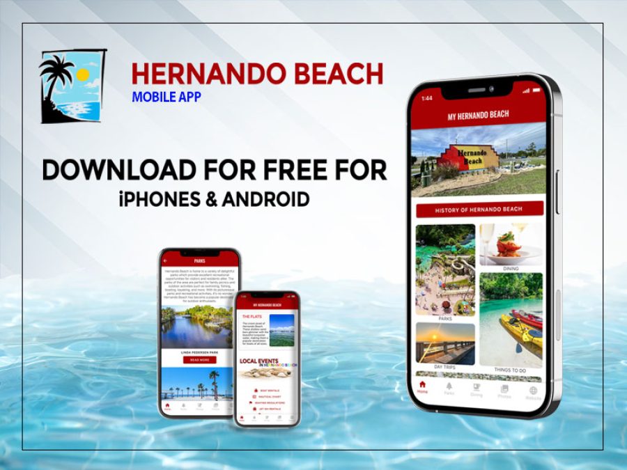 Hernando Beach Visitor Guide